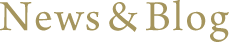 NEWS&ブログ